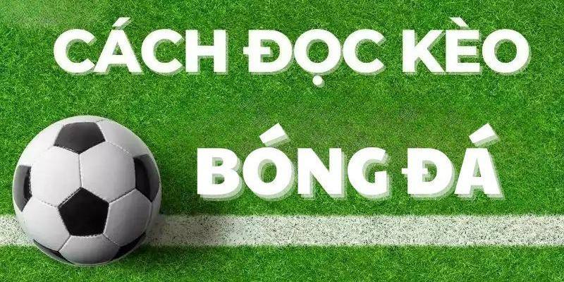 Cách đọc kèo châu âu vô cùng dễ nắm bắt