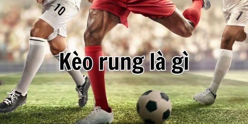 Kèo rung mang đến những trải nghiệm thú vị, đầy kịch tính